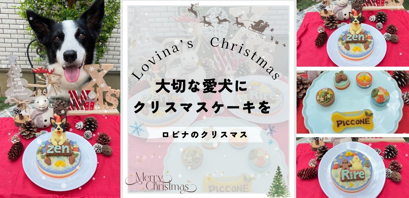 2024Christmas(1410 × 684 px)のコピー